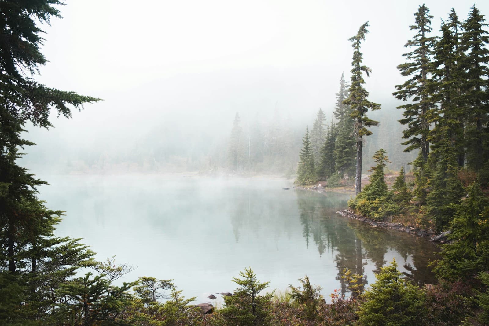 Forest and mountain reflections on a quiet Canadian lake